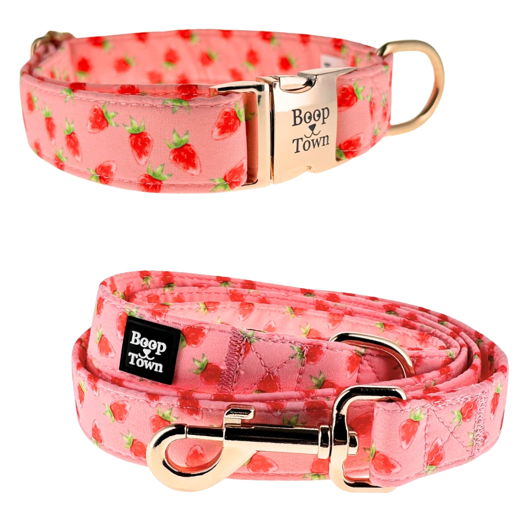 Going to Town Matching Dog Collar & Leash Set