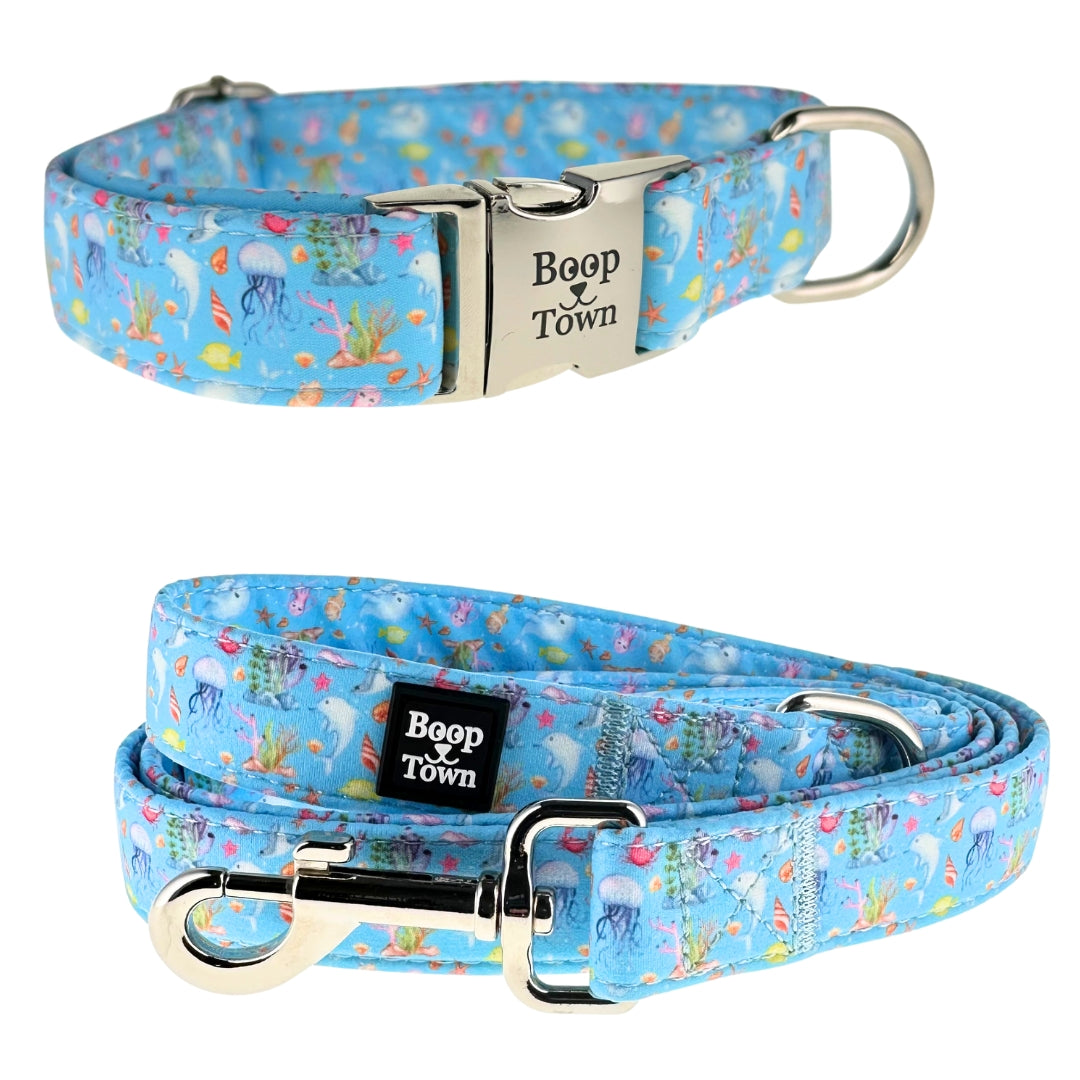 Going to Town Matching Dog Collar & Leash Set