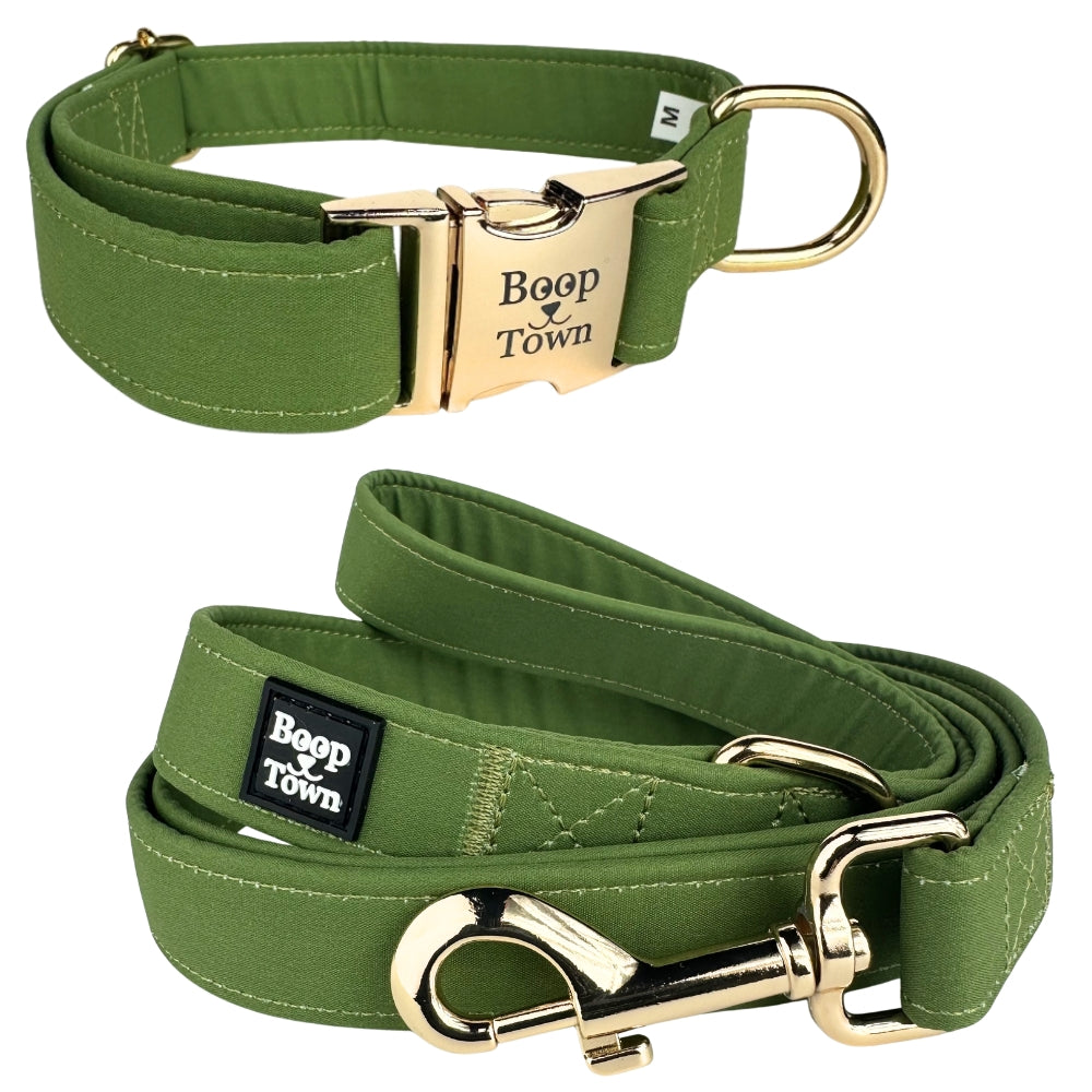 Going to Town Matching Dog Collar & Leash Set