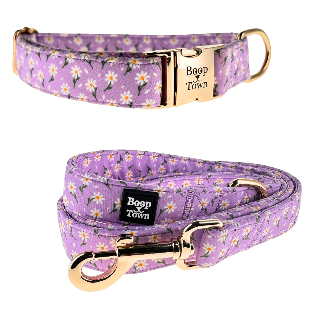 Going to Town Matching Dog Collar & Leash Set