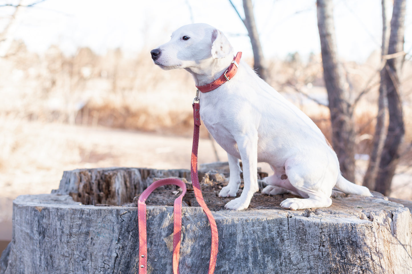 The Ranch Hand Full-Grain Leather Dog Leash