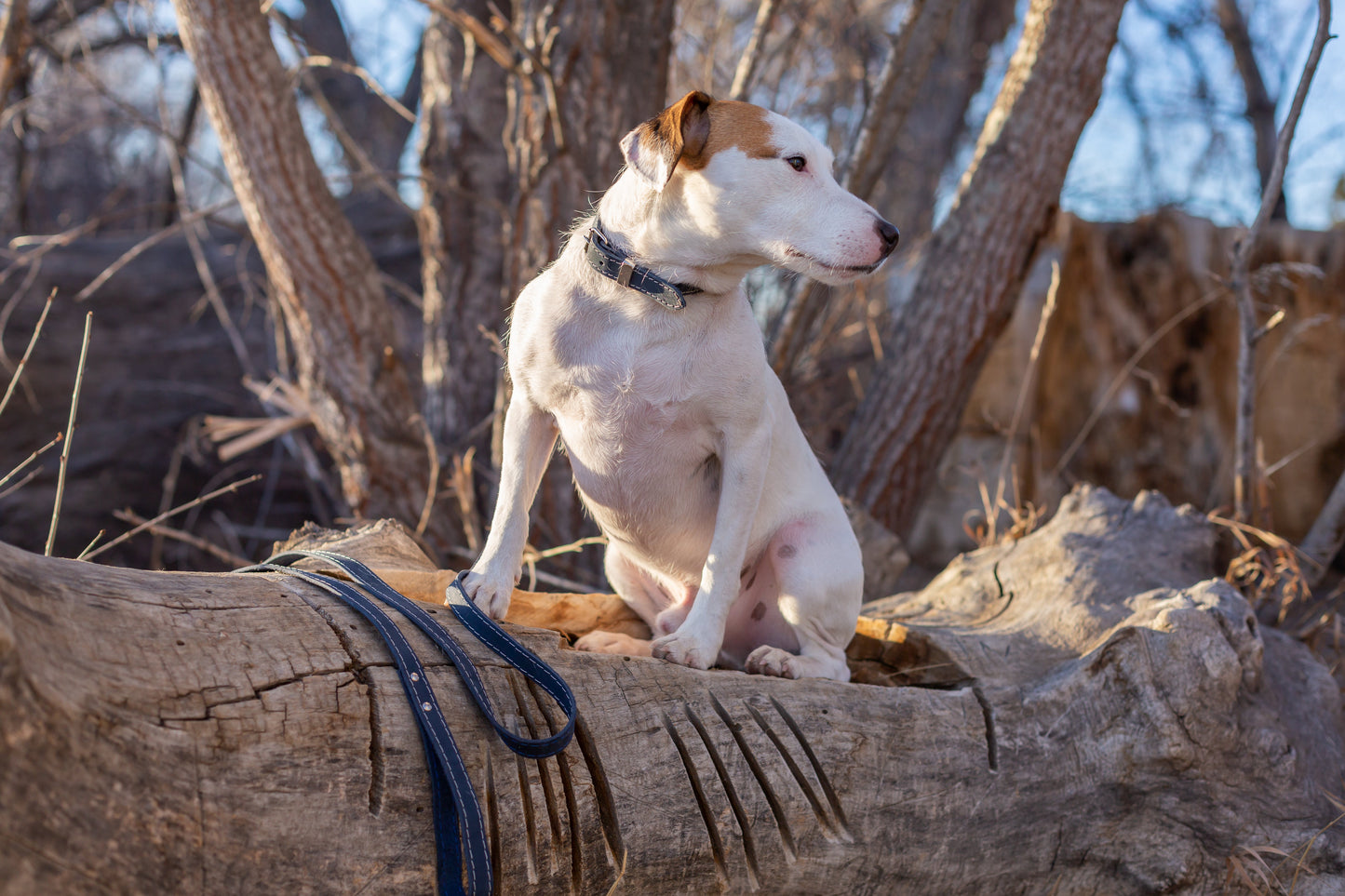 The Ranch Hand Full-Grain Leather Dog Leash
