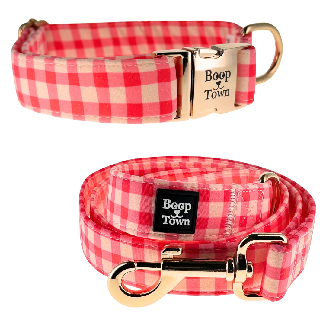Going to Town Matching Dog Collar & Leash Set