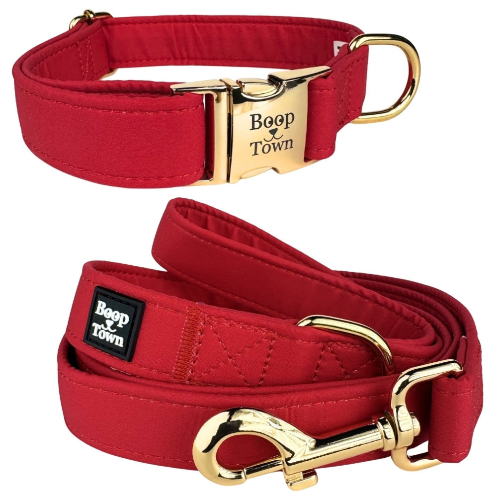 Going to Town Matching Dog Collar & Leash Set