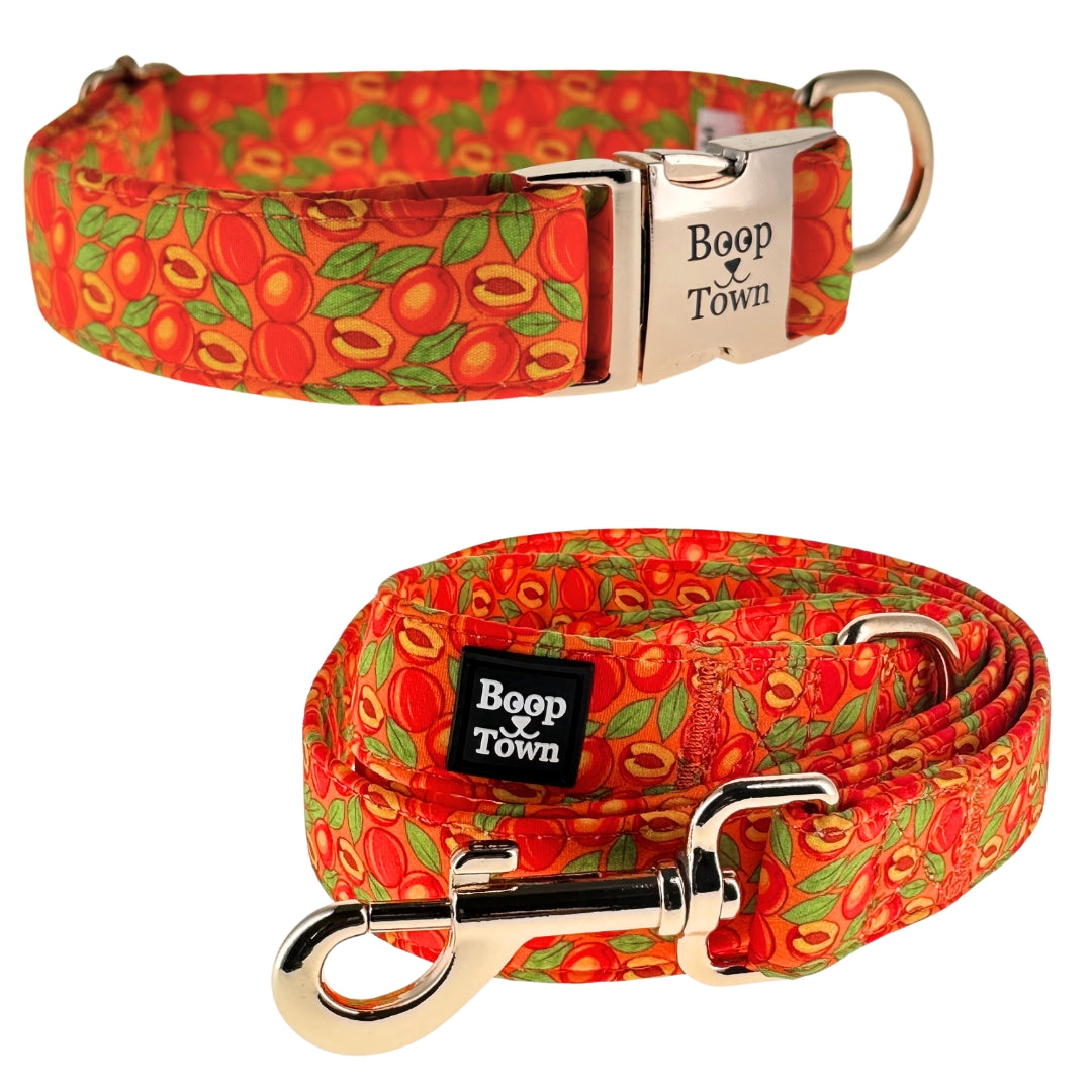 Going to Town Matching Dog Collar & Leash Set