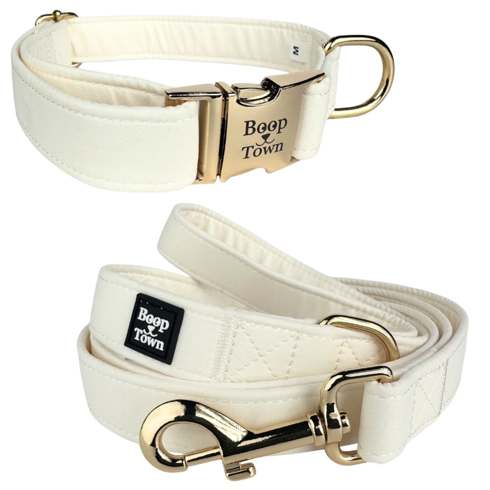 Going to Town Matching Dog Collar & Leash Set