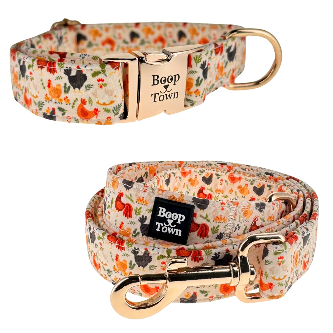 Going to Town Matching Dog Collar & Leash Set