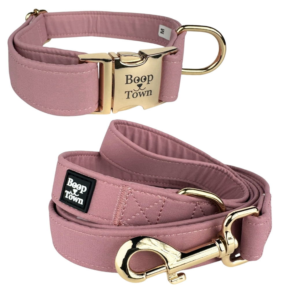 Going to Town Matching Dog Collar & Leash Set