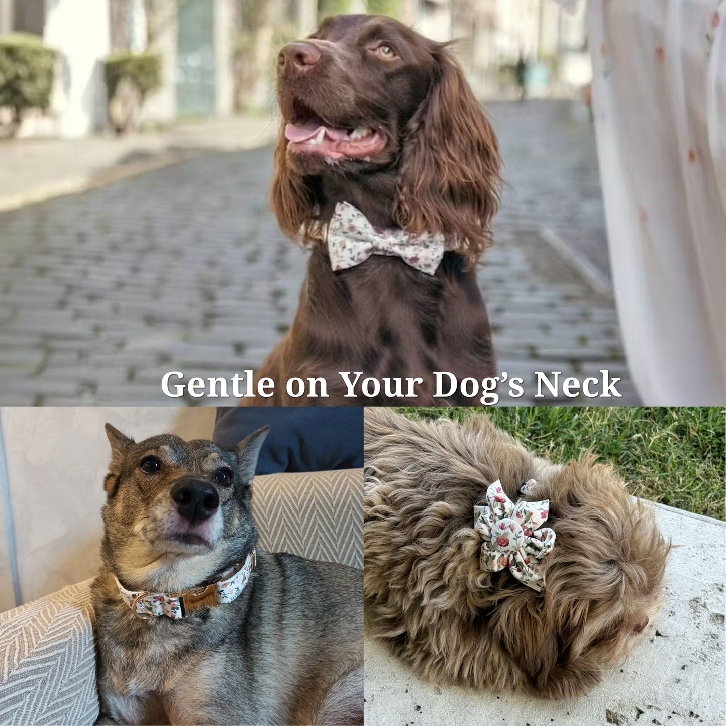 The Sunday Stroll Floral Dog Collection