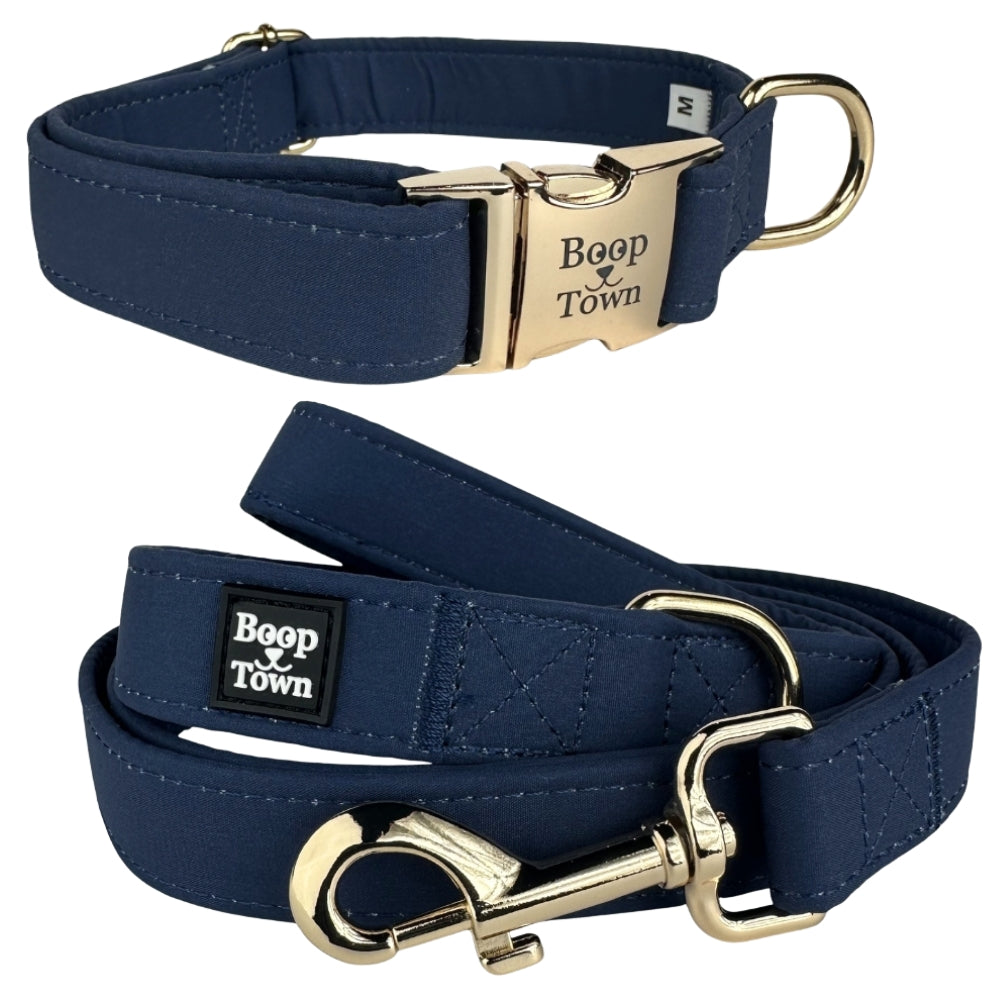 Going to Town Matching Dog Collar & Leash Set
