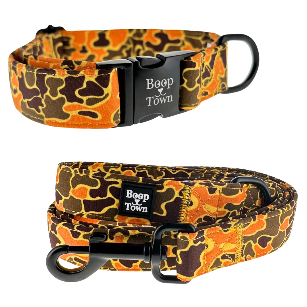 Going to Town Matching Dog Collar & Leash Set