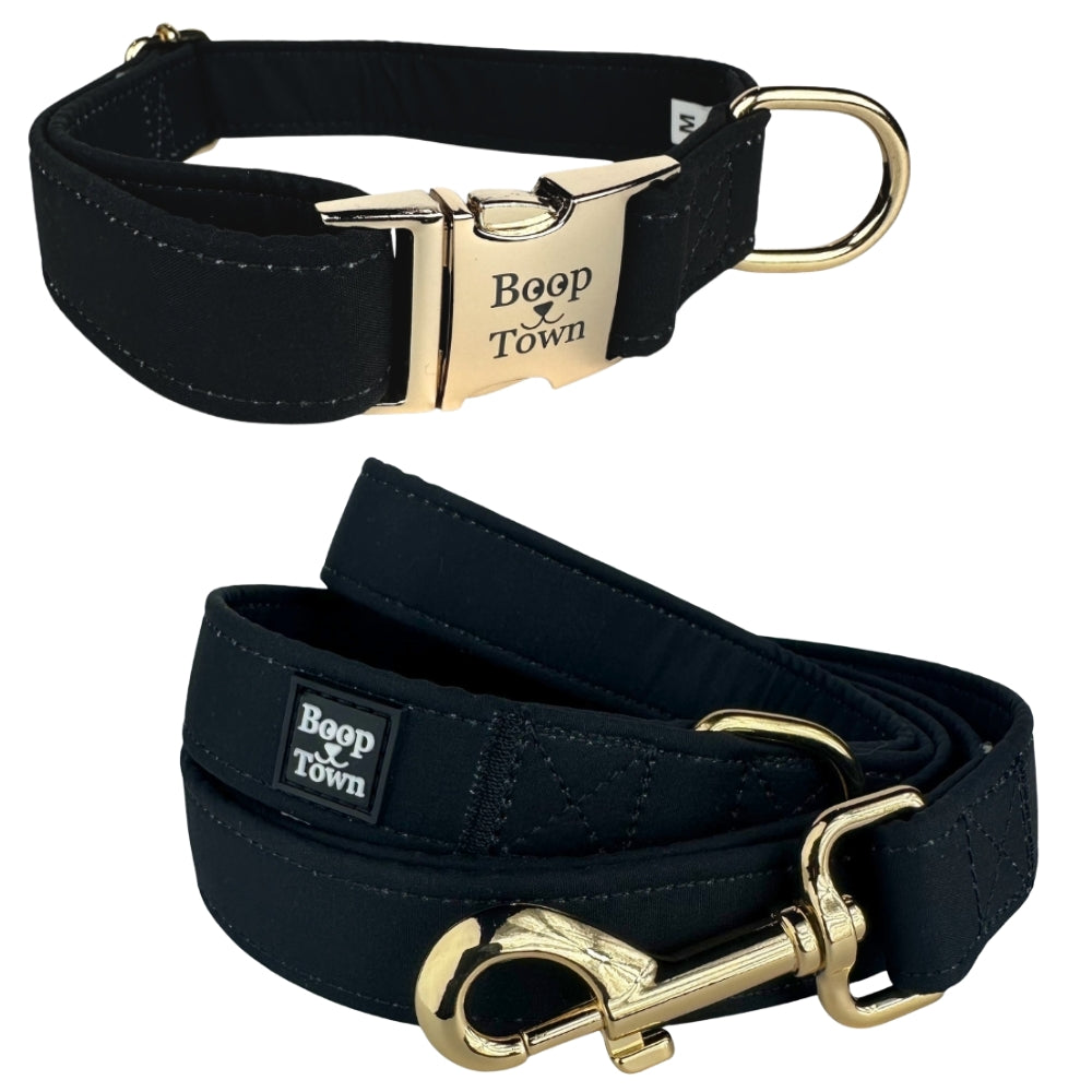 Going to Town Matching Dog Collar & Leash Set