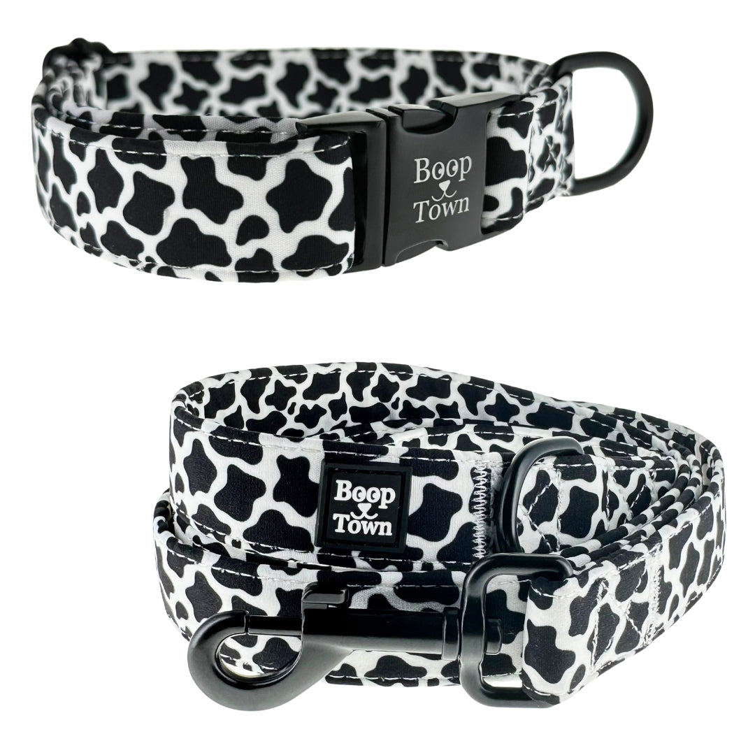 Going to Town Matching Dog Collar & Leash Set