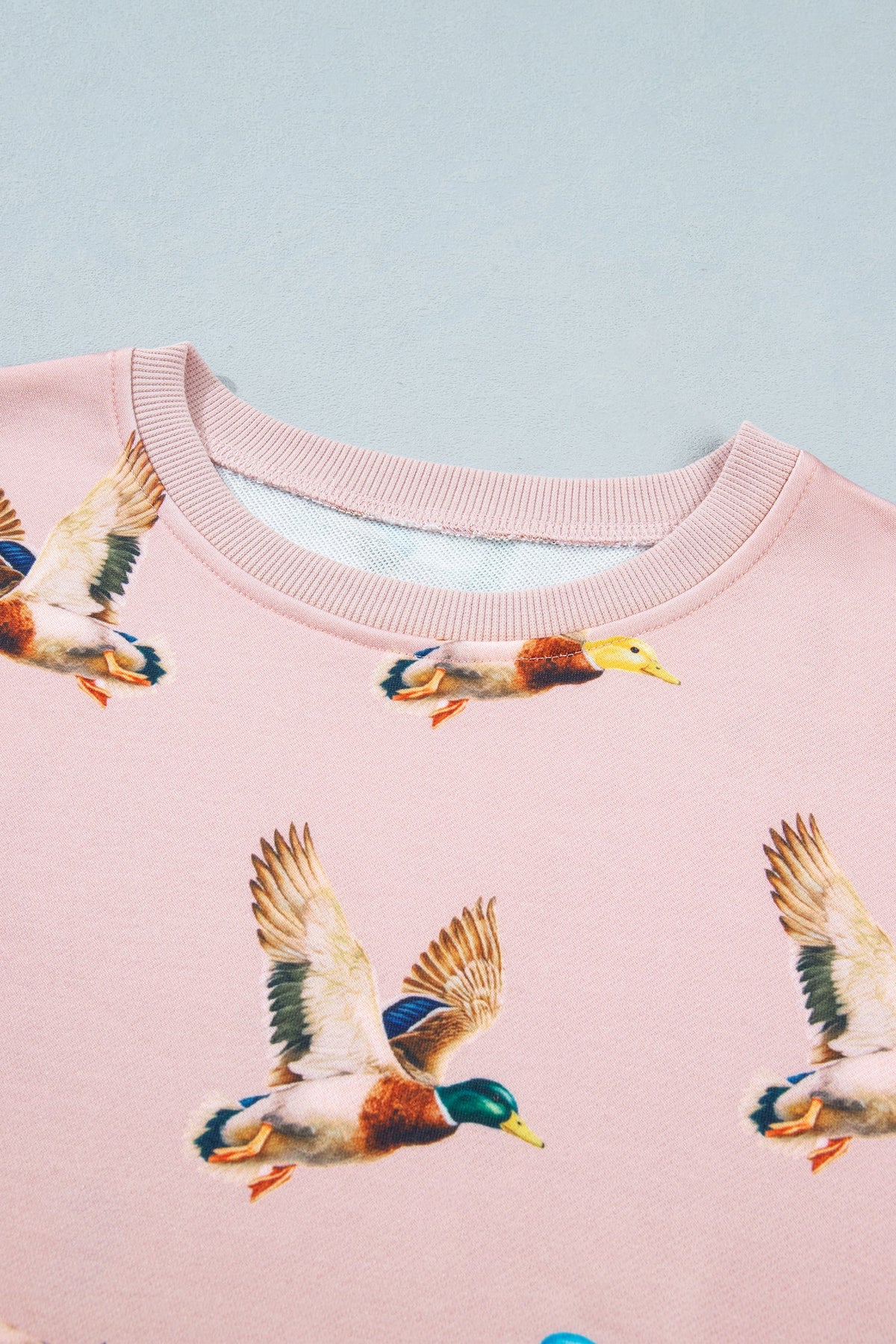 The Pretty Little Mallard Sweatshirt