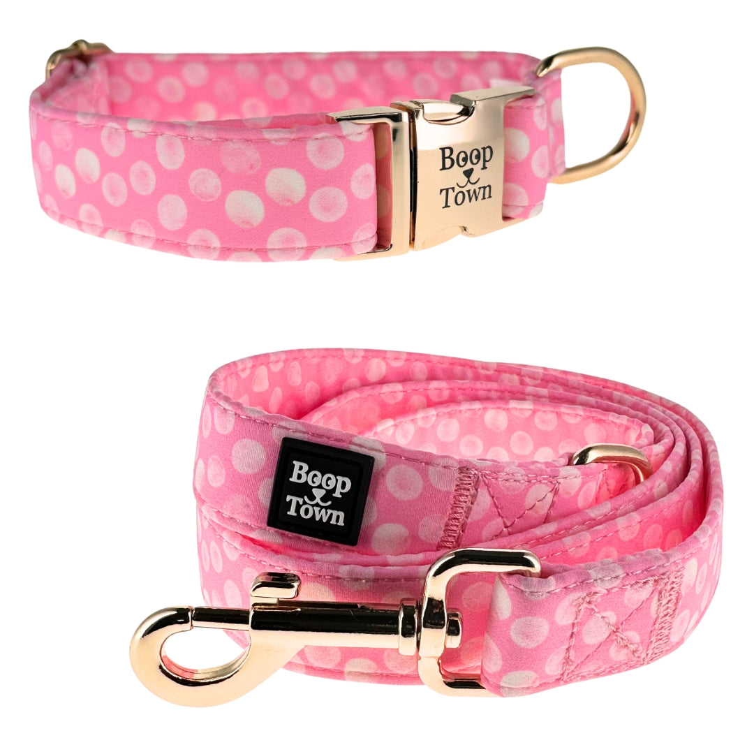 Going to Town Matching Dog Collar & Leash Set