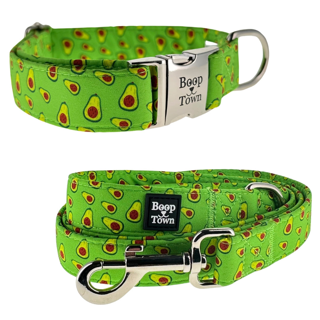 Going to Town Matching Dog Collar & Leash Set