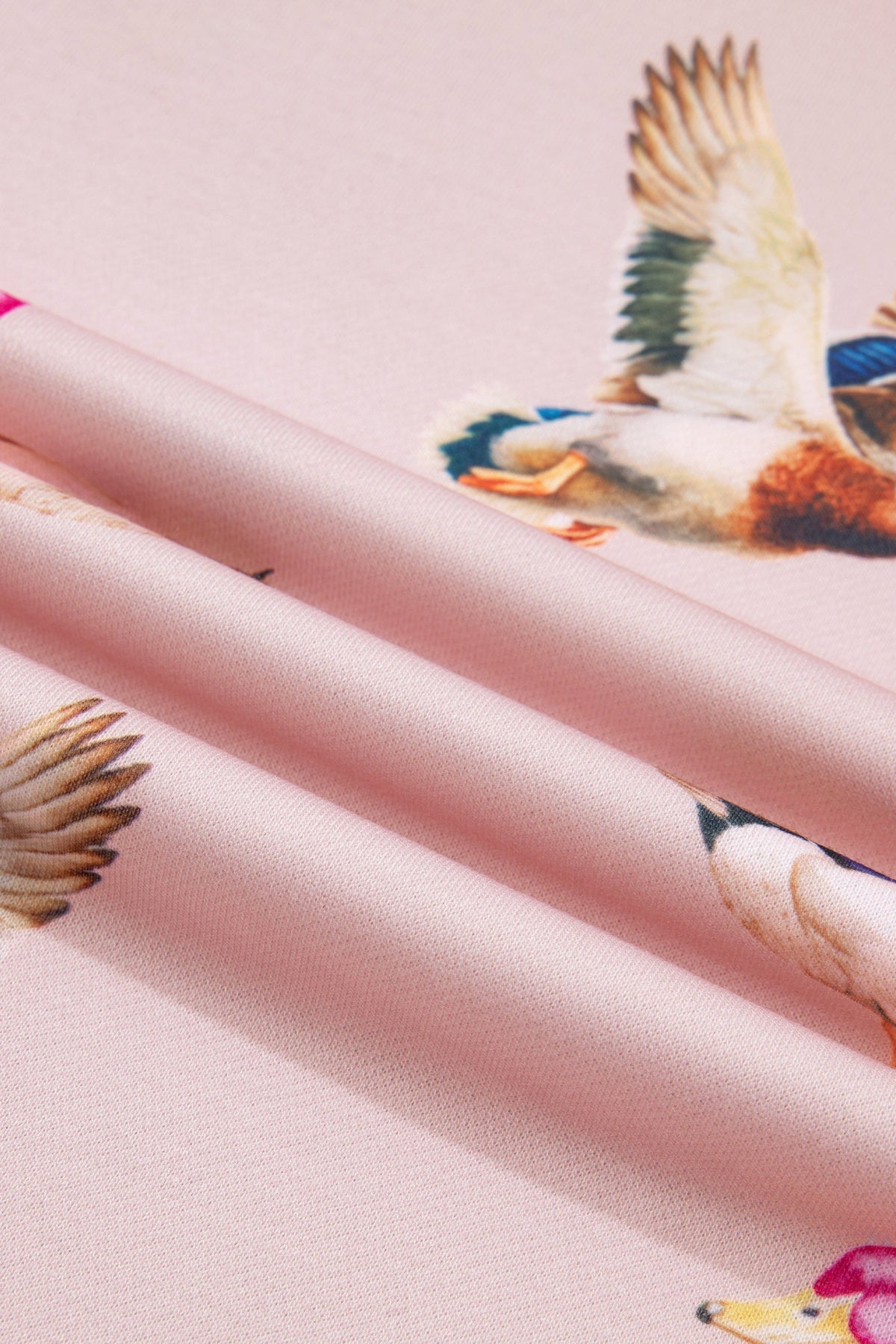 The Pretty Little Mallard Sweatshirt