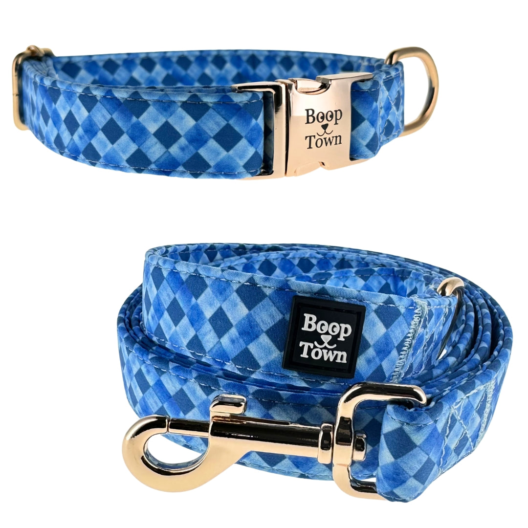 Going to Town Matching Dog Collar & Leash Set