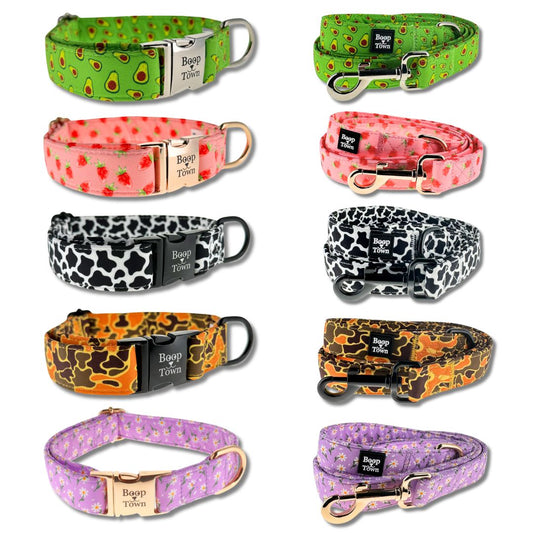 Going to Town Matching Dog Collar & Leash Set