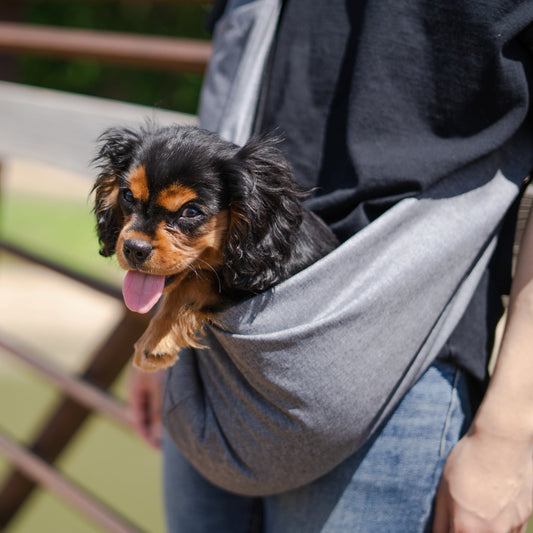Hands-Free Ranch Dog Sling Carrier | Breathable Cotton Pet Travel Bag