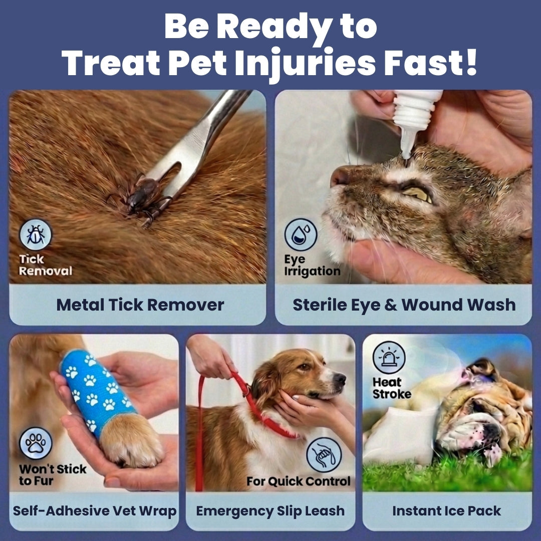 Adventure Ready Pet First Aid Kit