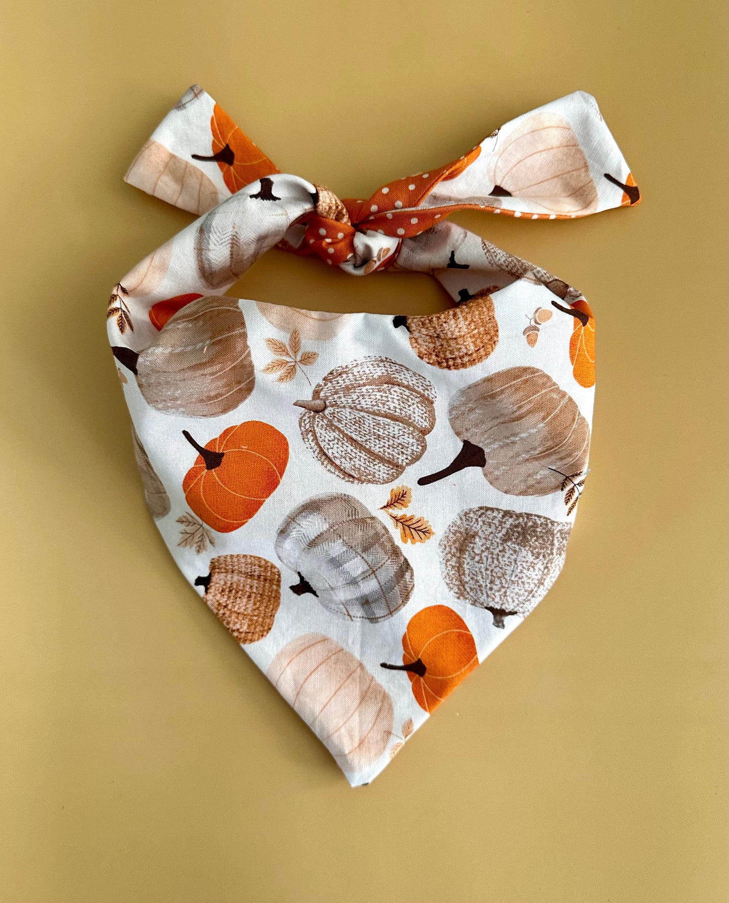 The Pumpkin Patch Dog Bandana
