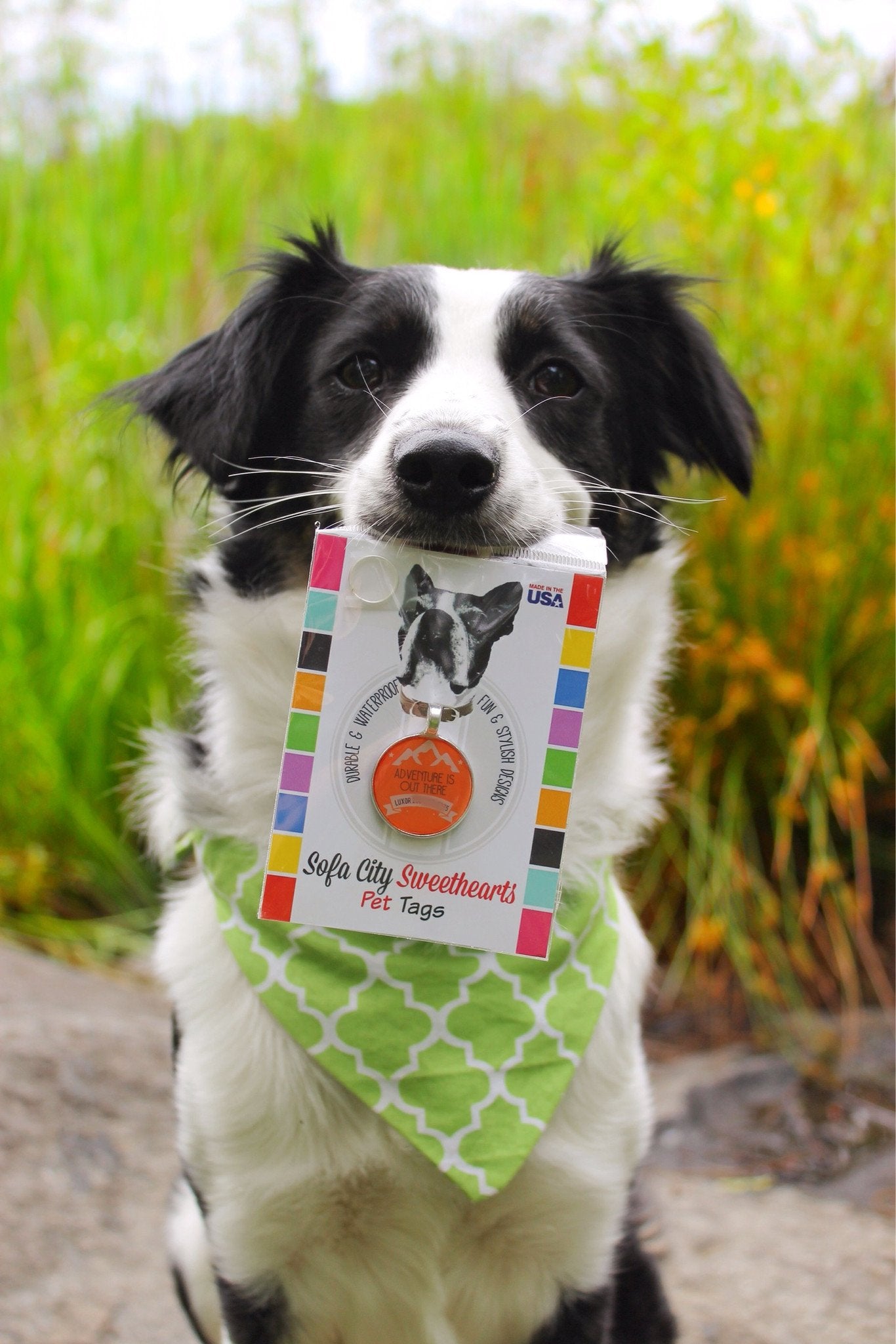 Personalized Adventure Dog Tag | Custom Pet ID Tag (Name & Phone) | Durable Outdoor Style