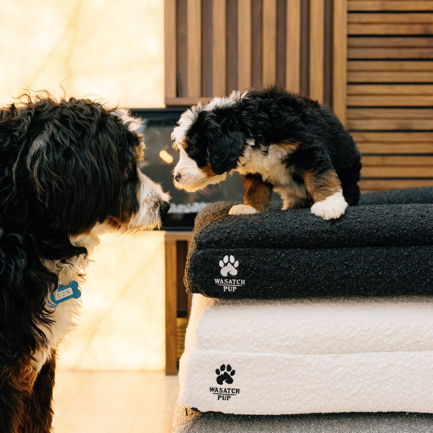 The Ranch House Luxury Orthopedic Dog Bed