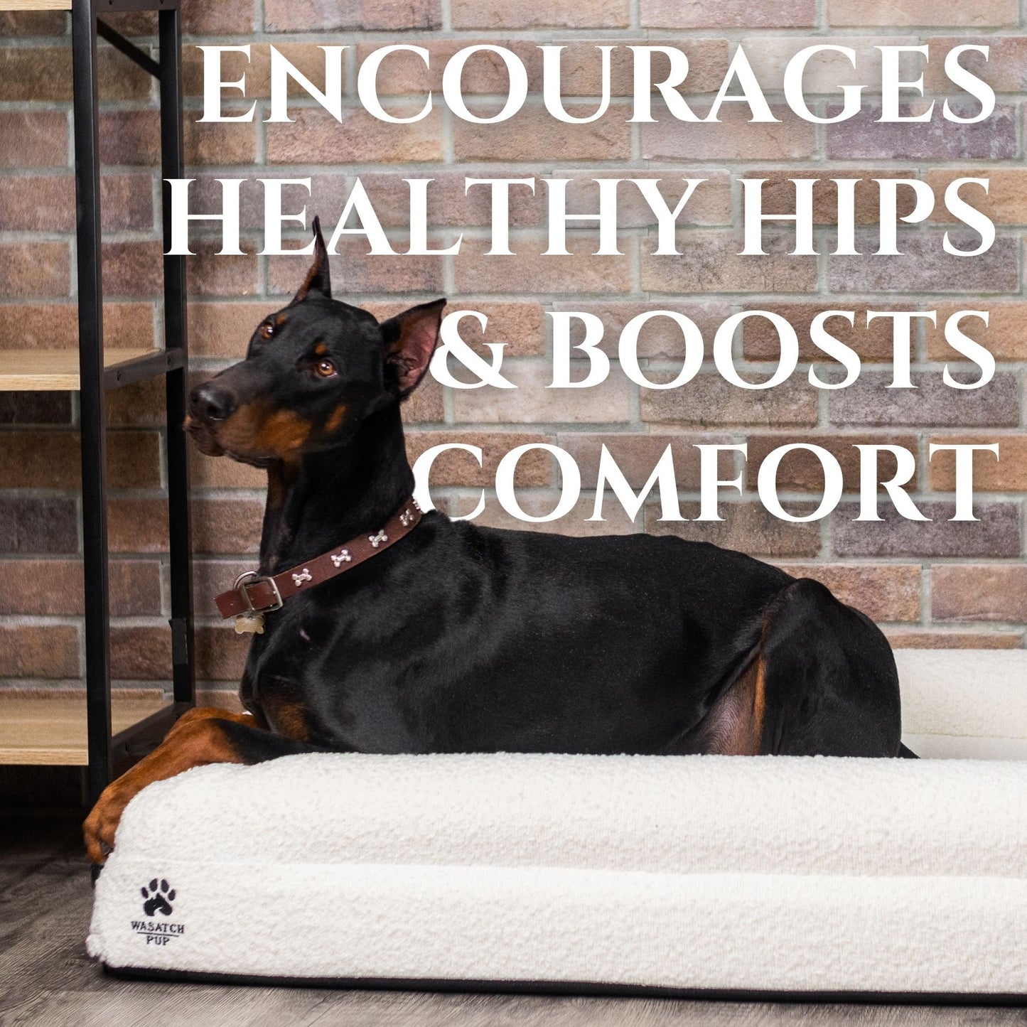 The Ranch House Luxury Orthopedic Dog Bed