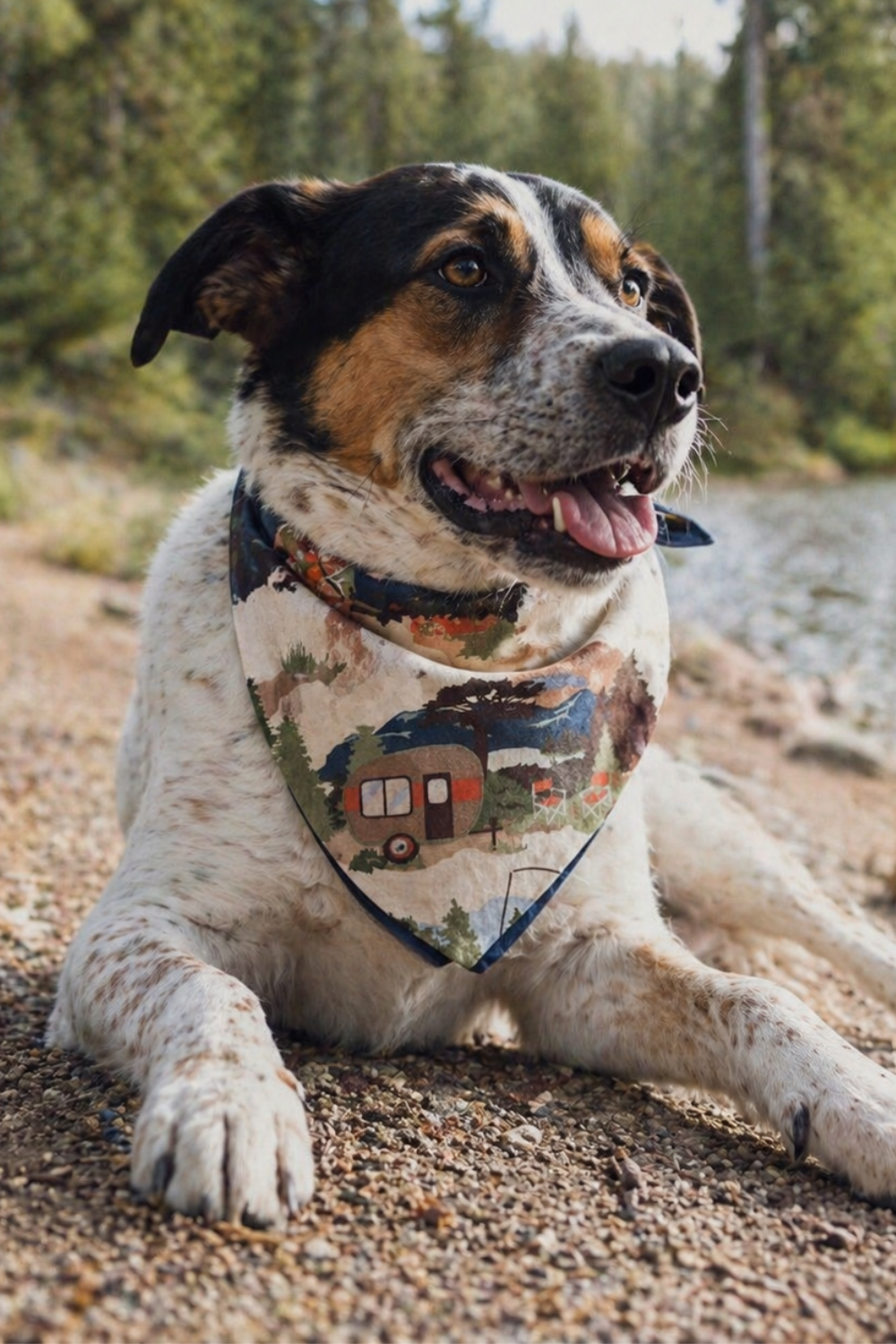 The Happy Camper Personalized Dog Bandana