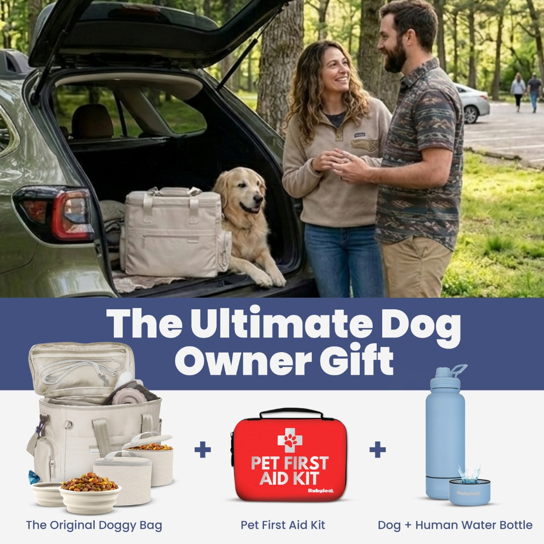 The Weekender Dog Travel Bag