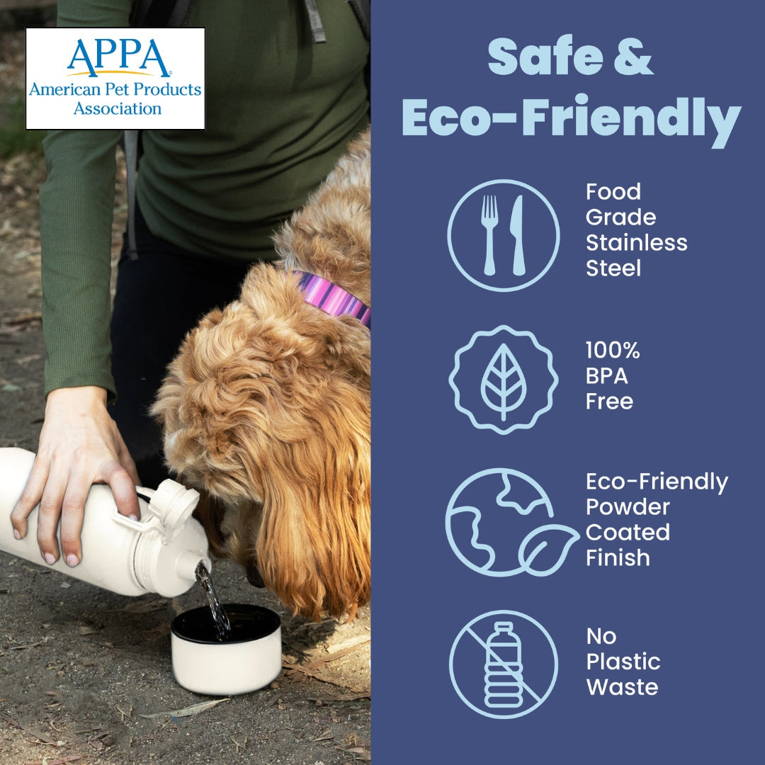 The Trail Buddy Dog + Human Water Bottle