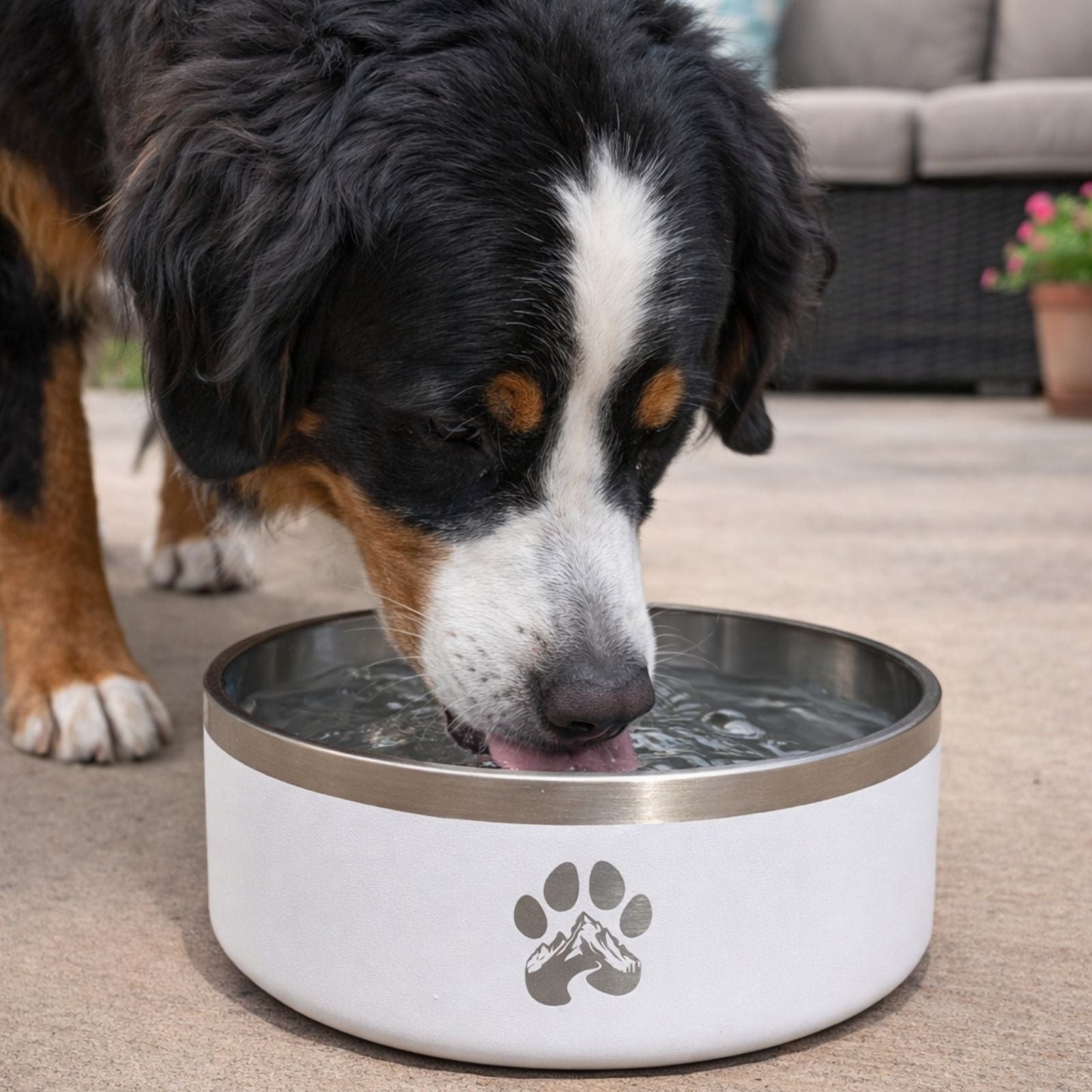 The Ranch House Insulated Stainless Steel Dog Bowl