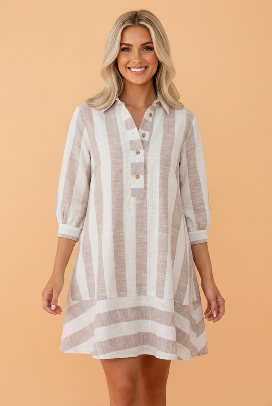 Sagebrush Stripe Button Front Mini Dress