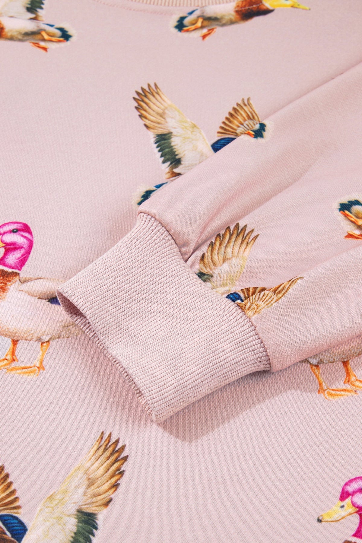 The Pretty Little Mallard Sweatshirt