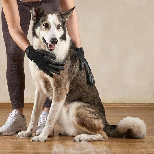 Everyday Pet Grooming Gloves