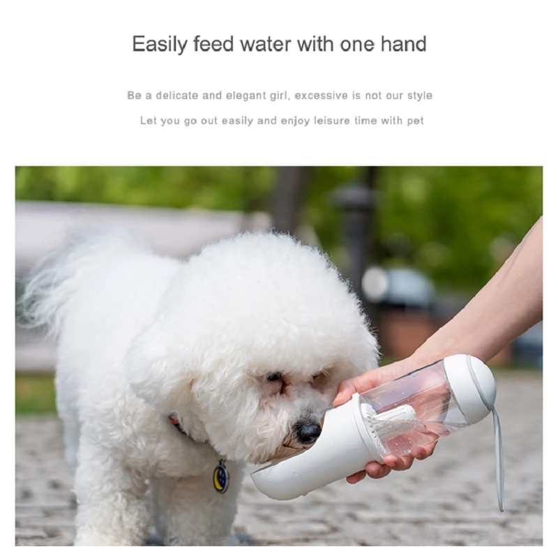 Modern Ranch Travel Dog Water Bottle