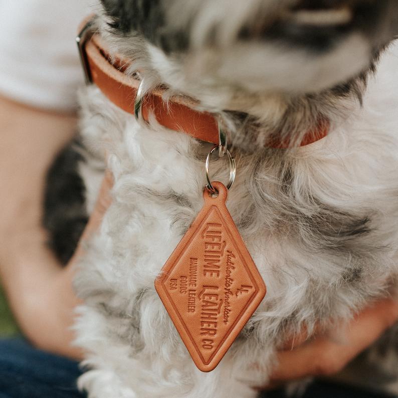 Bridle & Bone™ Personalized Full-Grain Leather Dog Collar with Matching Name Tag – Handmade in USA