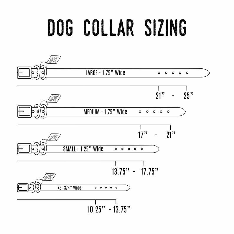 Bridle & Bone™ Personalized Full-Grain Leather Dog Collar with Matching Name Tag – Handmade in USA