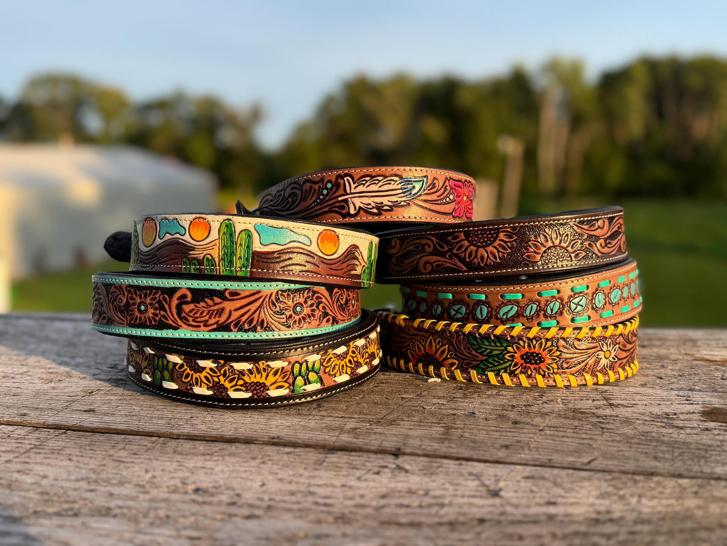 The Turquoise Trail Western Dog Collar & Leash Collection